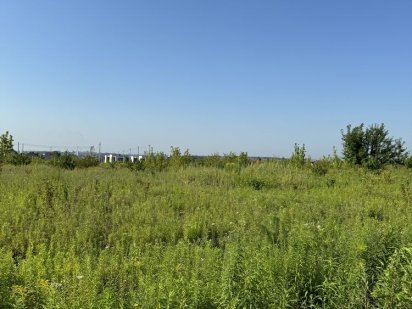 Місце сили. Земельна ділянка на Щасливому. Рівне