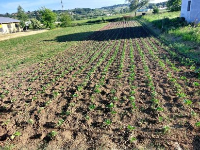 Продаж земельної ділянки Чернівці