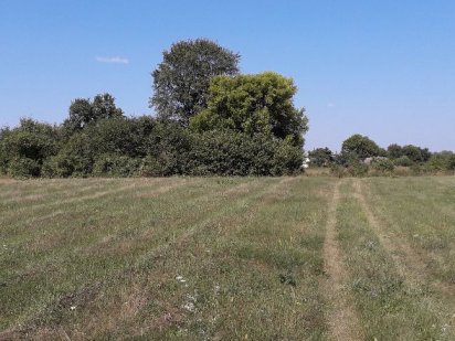 Земельна ділянка.с.Клочків. Чернігів