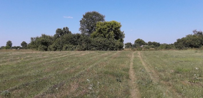 Земельна ділянка.с.Клочків. - фото 1