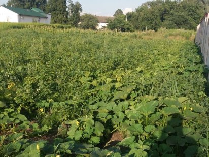 Продам приват.01га земли Чернигов