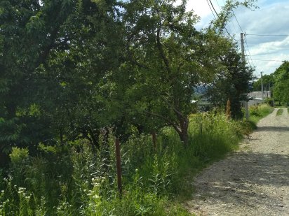 Земельный участок, дача Чернівці