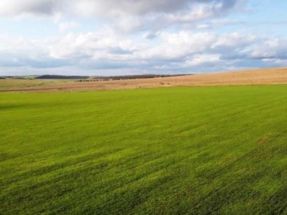 Продам ділянку сільськогосподарського призначення Киев