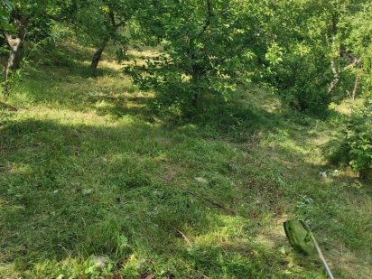 Продам земельну ділянку на цецено Чернівці