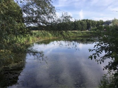 Участок под строительство Конча Заспа, Чапаевка, г.Киев Киев