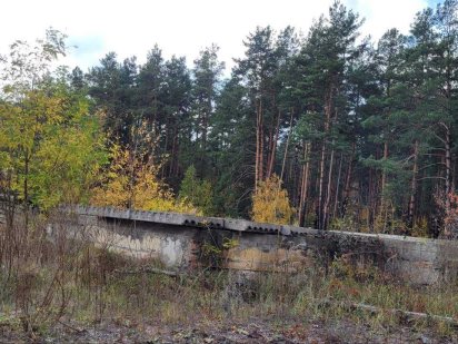 Земельна ділянка в Биківні Київ