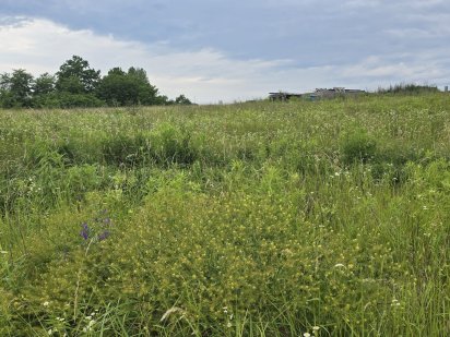 Земельна ділянка Чернівці