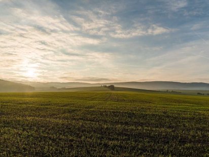 Продам ділянку сільськогосподарського призначення Киев