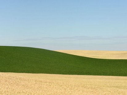 Продам землю сільськогосподарського призначення Ужгород