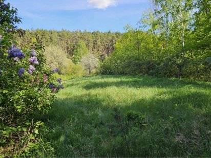 Участок Ділянка унікальна перспективна Механізатор Ст.Подусівка 8,5сот Чернігів