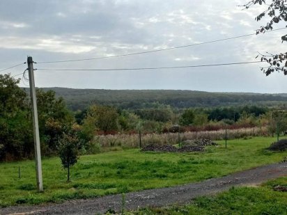 Ділянка 12 сотин район Горяни, поруч ліс Ужгород