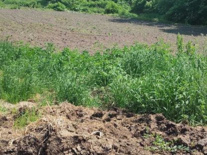 Продаж земельної ділянки в межах міста Чернигов