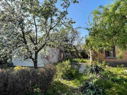 Ділянка землі в самому серці міста, поруч з "Пагорбом Слави". Черкаси