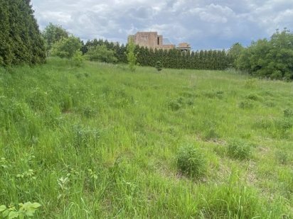 Ділянка, Роша, 17 соток, р-н Заставнянської-Лозівської Черновцы