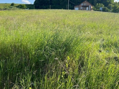 Продаж зем.ділянка Чернівці