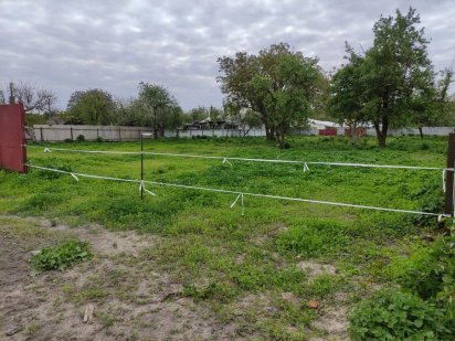 Земля 23 сотки в Новоселівці, під Черніговом Чернигов