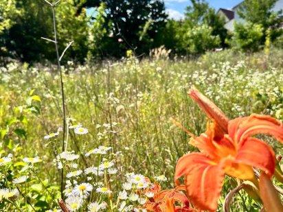 Продам ділянку, 5 сот., 36000дол. Пирогово (вул. Оксамитова) Винница