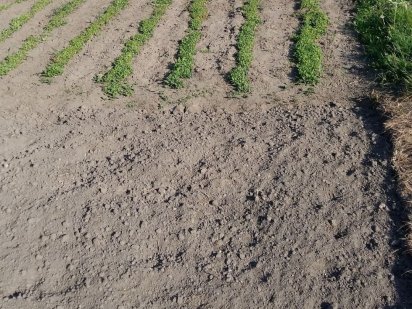 Продам дачный участок Ялынка, Княжичии Киев