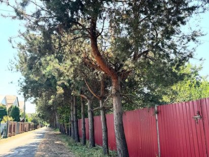 Продаж ділянки в топовій локації. Ближня Сторожниця Ужгород