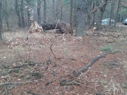 Продам ділянку 10сот, під житлову забудову, Биківня, м. Лісова Киев