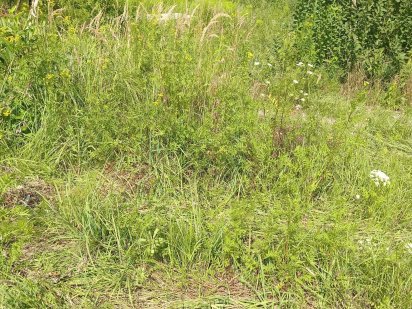 Київ. Уч-к та будиночок вагончик - Цех, СТО і склад. За авторинком Ж. Киев