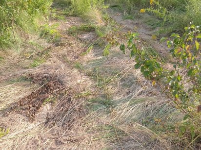 Ділянку землі метро Теремки. Київ. Продам Київ