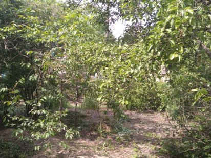 жуляни соломянский р-н