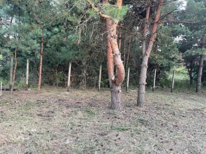 Продажа участка 0.10га Быковня застройка Киев