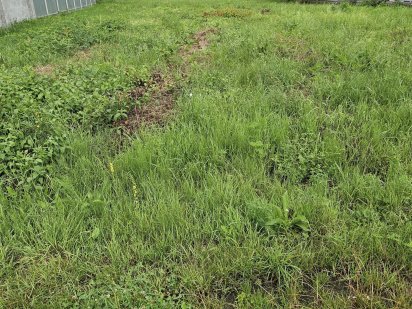 Продається ділянка з міськими комунікаціями Ужгород