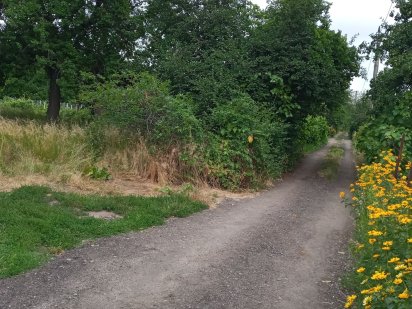 Продам дачну ділянку! Черкаси