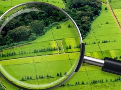 Без%. Фасад Центральна Осокорки Торг Садова 68. Киев