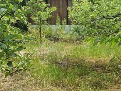 Дачна Ділянка   ТЕРМІНОВО Винница