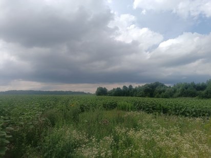 Земельна ділянка 1.3 га між Якушенцями і Березина Винница