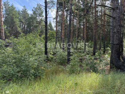 Биківня. Продажа земельної ділянки в лісі Киев