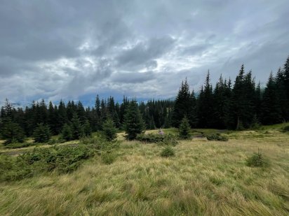 Продам земельну ділянку на  Драгобраті 10 сотин