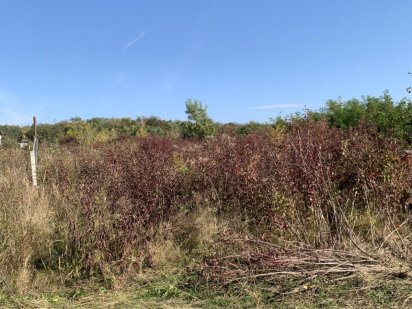 Продаж земельної ділянки мікрорайон Горяни.