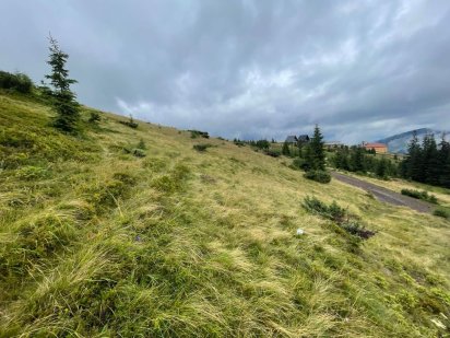 Продам земельну ділянку на Драгобраті 12 сотин