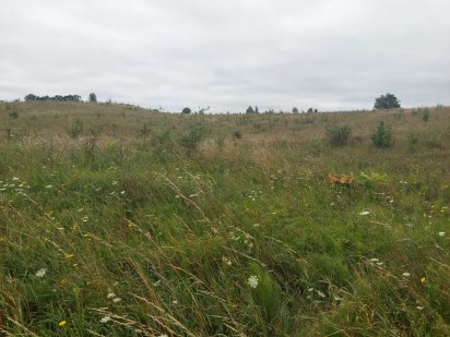 Продається ділянка під житлову забудову у передмістті Вінниці Винница