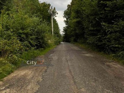 Продаються ділянки, ур.Дубки, межують з лісом