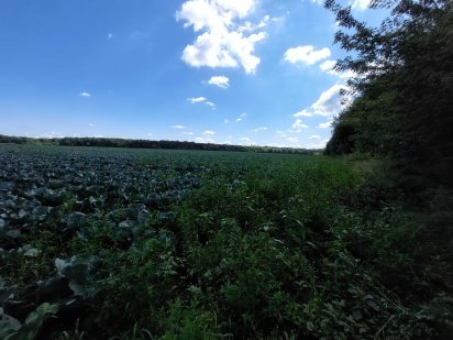 Продам ділянку - ПАЙ,  для комерції чудовий варіант Вінниця