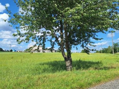 Продажа земельного участка Гниванское шоссе 10 сот. Винница