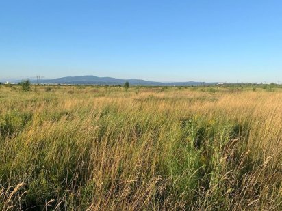 Земельна ділянка, 12 сот. Тарнівці.