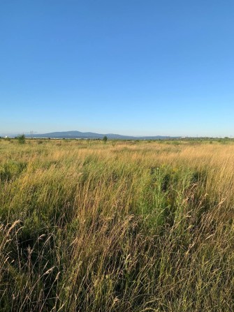 Земельна ділянка, 12 сот. Тарнівці. - фото 1