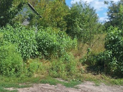 Продажа земельного участка 12 соток Тяжилов