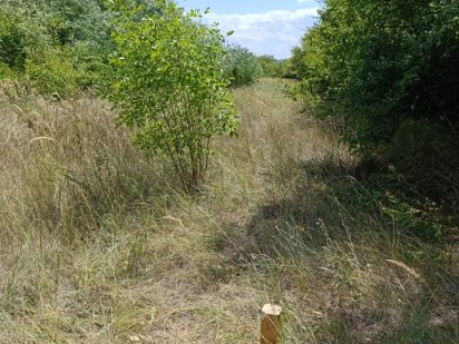 Продажа ровного участка в Таромском Дніпро