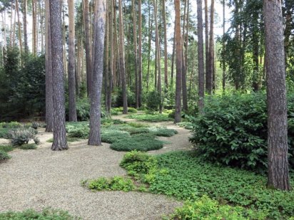 Земельна ділянка у Пуща-Водиці Киев