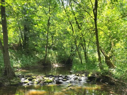 Земельна ділянка  з видом на річку. Житомир