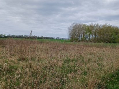 Продається ділянка в Стрижавці Винница