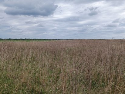 Продається ділянка в Стрижавці