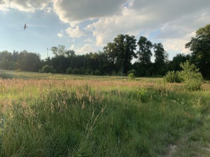 Земельный участок возле музея Пирогово Киев